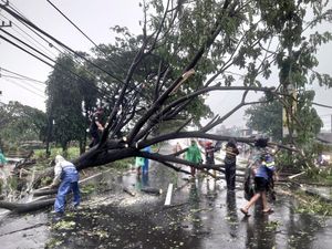 Hujan Disertai Angin Landa Boyolali, Sejumlah Pohon-Kandang Ayam Roboh