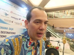 Asosiasi Travel Janji Bantu Pemprov Berangus Praktik Jual-Beli Kepala Turis China