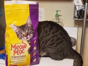 Kumpulan Foto Kebetulan Sempurna, Kok Bisa Pas Banget Gitu Ya