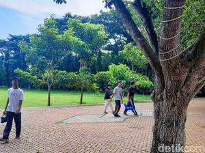 Geger Pria Pamer Kelamin di Situbondo, Ternyata ODGJ Celananya Melorot Geger Pria Pamer Kelamin di Situbondo, Ternyata ODGJ Celananya Melorot