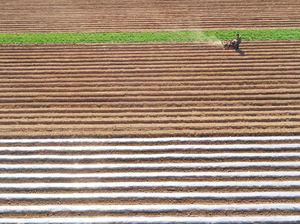 Lanskap Indah Ladang Pertanian Kentang di China
