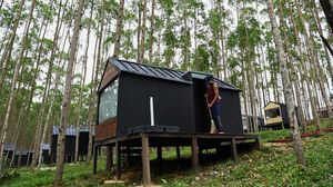 Lihat Lagi Lokasi Jokowi-Iriana Nginap di Kawasan Glamping IKN