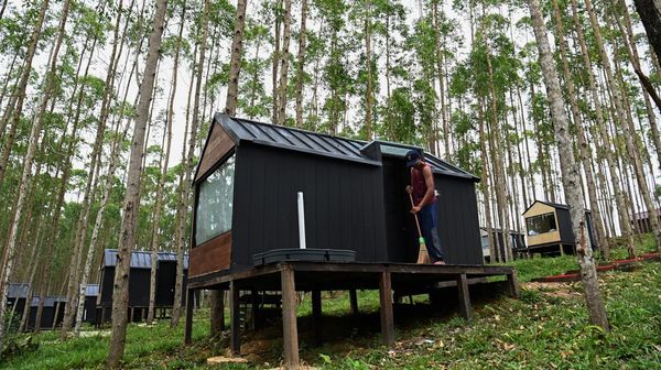 Lihat Lagi Lokasi Jokowi-Iriana Nginap di Kawasan Glamping IKN