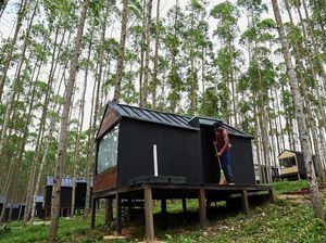 Lihat Lagi Lokasi Jokowi-Iriana Nginap di Kawasan Glamping IKN Lihat Lagi Lokasi Jokowi-Iriana Nginap di Kawasan Glamping IKN