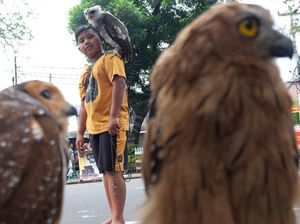 Antusias Anak-anak Mengenal Edukasi Unggas