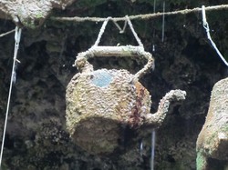 Mother Shipton, Sumur Unik yang Mengubah Benda Menjadi Batu