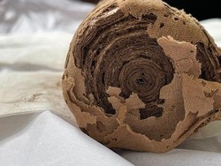 Sebelum Pakai Kertas, Sejarah Buku Ternyata Berawal dari Bahan Ini