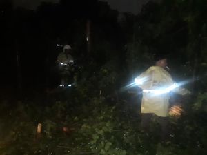 Jakarta Diguyur Hujan, Sejumlah Pohon dan Papan Reklame Tumbang Jakarta Diguyur Hujan, Sejumlah Pohon dan Papan Reklame Tumbang