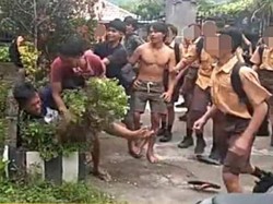 Viral Duel Tukang Parkir Vs ABG Jadi Tontonan Siswa SMP di Buleleng