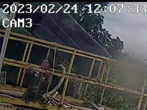 Detik-detik 3 Pekerja Tewas di Blok Rokan, Ada Upaya Saling Membantu Detik-detik 3 Pekerja Tewas di Blok Rokan, Ada Upaya Saling Membantu