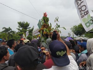 Serunya Rebutan 10 Gunungan Tanaman Hias dan Durian di Magelang