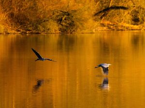 Contoh Soal Biologi Kelas 10 Semester 2, Yuk Belajar!