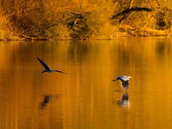 Contoh Soal Biologi Kelas 10 Semester 2, Yuk Belajar!