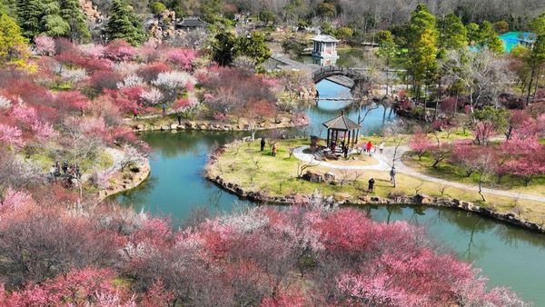 Menikmati Suasana Musim Semi di Taman Nasional Yangzhou China