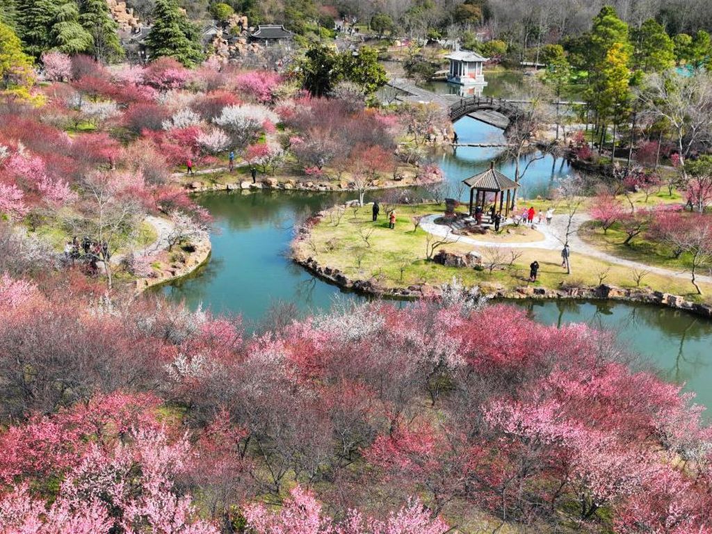 Menikmati Suasana Musim Semi di Taman Nasional Yangzhou China Menikmati Suasana Musim Semi di Taman Nasional Yangzhou China