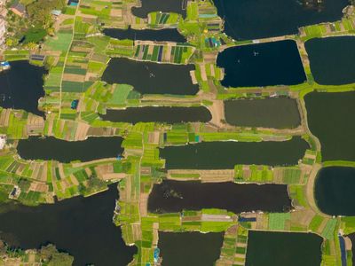 Bak Lukisan, Lanskap Ini dari Kebun Sayuran dan Kolam Ikan Lho