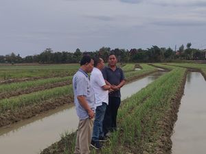 Jelang Ramadhan, Stok Bawang Merah Kabupaten Grobogan Dipastikan Aman