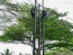 Semrawutnya Kabel Jaringan Internet di Pangandaran