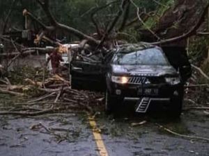Longsor Jalur Trenggalek-Ponorogo: Dampak hingga Kondisi Terkini Longsor Jalur Trenggalek-Ponorogo: Dampak hingga Kondisi Terkini