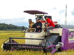 Mentan Minta Petani Padi Pakai Mesin Giling Modern: Pengadaan Bisa KUR