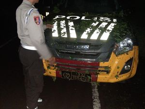 Mobil Patroli Polsek Lembar Tertimpa Pohon Tumbang Mobil Patroli Polsek Lembar Tertimpa Pohon Tumbang