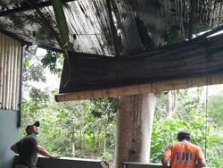 Hujan Angin, 5 Pohon Tumbang hingga Jalan Jebol
