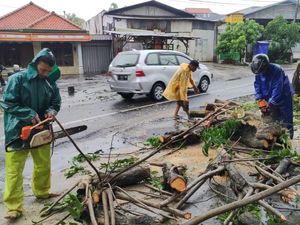 Hujan Deras Disertai Angin Tumbangkan 4 Pohon di Surabaya