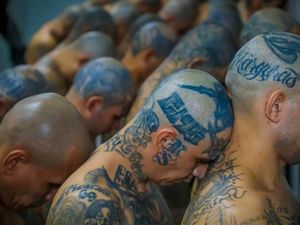 Penampakan Ribuan Anggota Geng Digiring ke Penjara Raksasa El Salvador