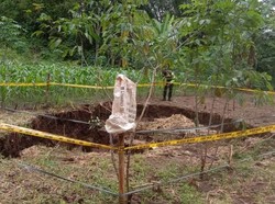 Sinkhole Muncul di Ladang Milik Warga Ponjong Gunungkidul Usai Hujan Deras