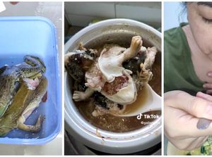 Video Masak Bubur Katak Ini Bikin Netizen Risih dan Mual Video Masak Bubur Katak Ini Bikin Netizen Risih dan Mual
