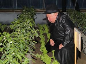 Saat Kim Jong Un Minta Dipanggil Ayah oleh Warga Korut