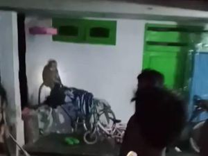 Monyet Piaraan Lepas dari Kandang, Sempat Gigit 2 Warga di Bangkalan