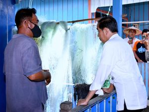 Nelayan Ngeluh soal Solar Subsidi, Jokowi Langsung Telepon Menteri KP