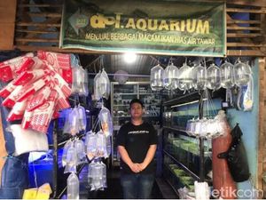 5 Ikan Paling Banyak Dicari di Pasar Muara Bandung 5 Ikan Paling Banyak Dicari di Pasar Muara Bandung