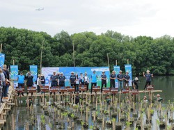 WIKA Akan Tanam 6.300 Mangrove ke Seluruh Indonesia