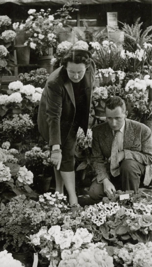 Foto: instagram.com/dior Catherine menjadi dealer bunga setelah perang/