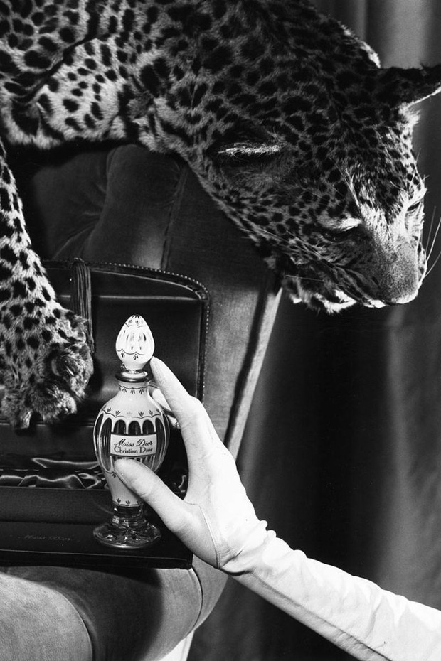 Foto: pinterest.com/ELLE Magazine (US) Parfum Miss Dior 1947/