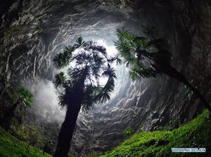 Lubang Surgawi Raksasa Ditemukan di China, Isinya Hutan Purba! Lubang Surgawi Raksasa Ditemukan di China, Isinya Hutan Purba!