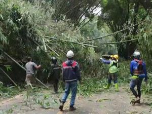 Longsor Sempat Putus Akses Jalan di Ciwidey