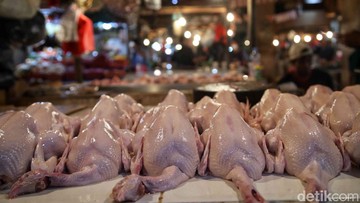 Harga Ayam di Pasar Ikut Anjlok Jadi Rp 35.000/Kg