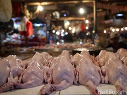 Jelang Ramadan, Harga Daging Ayam Merangkak Naik