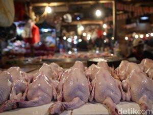 Harga Daging Ayam Tembus Rp 50.000/Kg, Kemendag: Masih Bisa Dimaklumi Harga Daging Ayam Tembus Rp 50.000/Kg, Kemendag: Masih Bisa Dimaklumi
