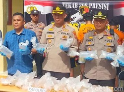 Polisi Gagalkan Penyeludupan Benih Rp 1 M Lobster di Pesisir Barat Lampung