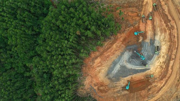 Jadi Nih Barang! Potret Rumah buat Menteri Dibangun di IKN