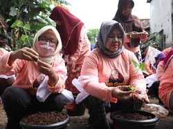 Manfaatkan Lahan Tidur, Mak Ganjar Tanam 250 Pohon Cabai di Jakpus