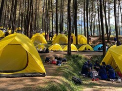 Alas Veenuz Trawas Mojokerto, Surga Bagi yang Suka Camping dan Piknik