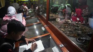 Belajar Mengenal Fauna di Museum Zoologi Bogor