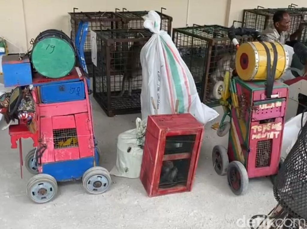 Akhir Kisah Desa Asal Topeng Monyet di Madiun Akhir Kisah Desa Asal Topeng Monyet di Madiun