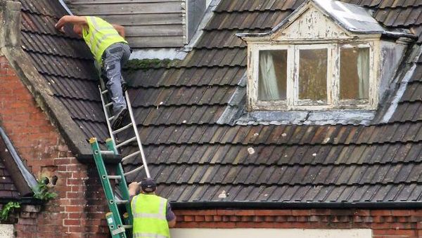 Deretan Foto Ini Bikin Gemas dan Was-was Sekaligus