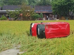 Ngebut, Mobil Jasa Ekspedisi Nyemplung Sawah di Gedangdowo Blora